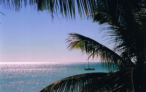"Martello Longing, Key West, FL" 35mm color photograph. © Roy Al Rendahl
