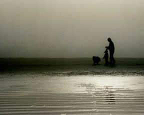 "Morro Beach Walk, Morro Bay, CA" 35mm color photograph. © Roy Al Rendahl
